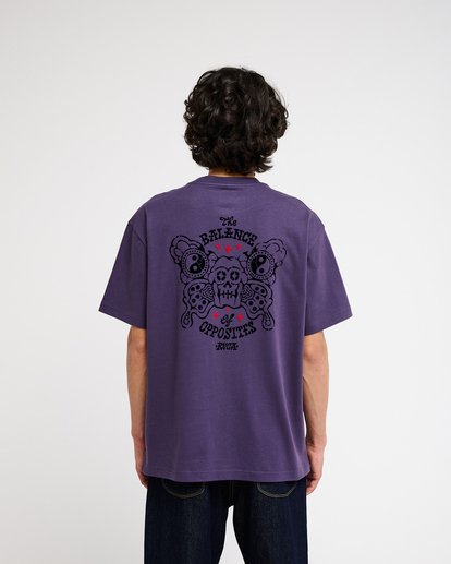 Dalas Balance  EVYZT00387