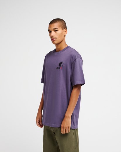 Dalas Balance  EVYZT00387