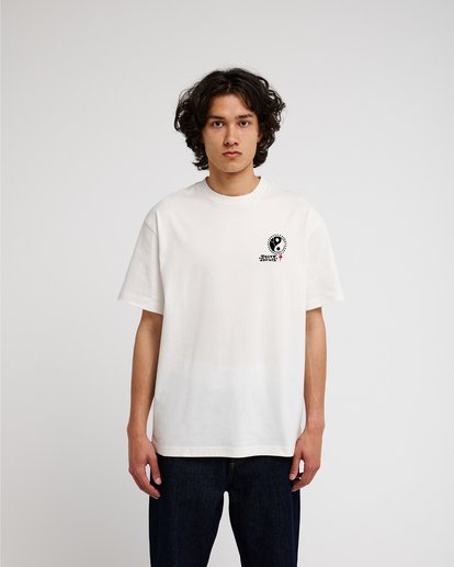 Dalas Balance  EVYZT00387