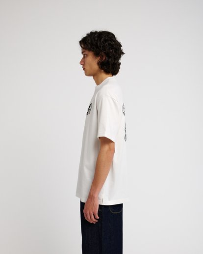 Dalas Balance  EVYZT00387