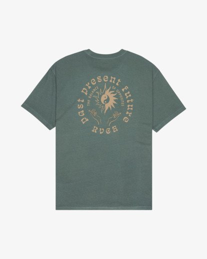 Stable  EVYZT00395