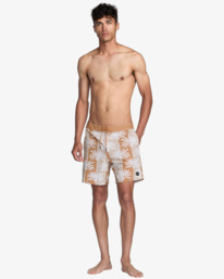 5 Down Right Trunk Brown 23A082507 RVCA