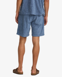 1 Palms Down Exotica 17" - Short de marche à taille élastique pour Homme Multi 23A101510 RVCA