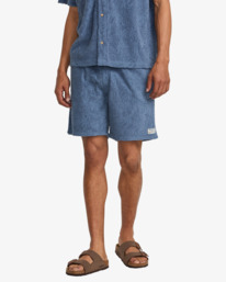 0 Palms Down Exotica 17" - Short de marche à taille élastique pour Homme Multi 23A101510 RVCA