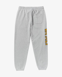 5 VA X Ali - Joggers for Men Grey 23A123500 RVCA
