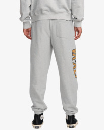 1 VA X Ali - Joggers for Men Grey 23A123500 RVCA