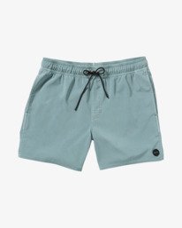 0 VA Pigment 16" - Boardshorts para Hombre Gris 23A251502 RVCA