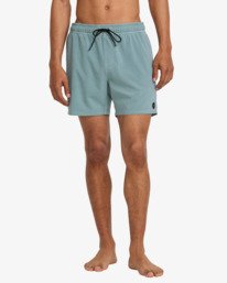 2 VA Pigment 16" - Boardshort pour Homme Gris 23A251502 RVCA