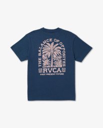 0 Palmgrove - Maglietta a maniche corte da Uomo Gray 23A351615 RVCA