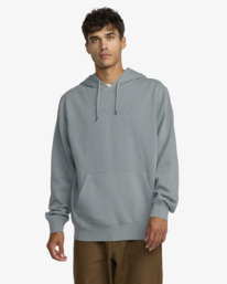 2 Ptc 2 - Kapuzenpulli für Männer Grau 23A413503 RVCA
