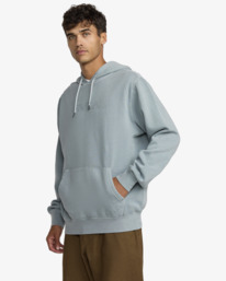 4 Ptc 2 - Kapuzenpulli für Männer Grau 23A413503 RVCA