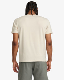 3 Balance - Maglietta tecnica da Uomo Gray 23MS011502 RVCA