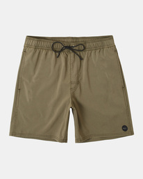 0 VA Pigment - Swim Shorts for Men Green AVYBS00207 RVCA