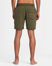 2 VA Pigment - Swim Shorts for Men Green AVYBS00207 RVCA