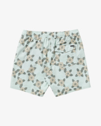 1 Barnes - Short de bain pour Homme Vert AVYBS00265 RVCA