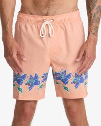 2 Barnes Multi AVYBS00265 RVCA