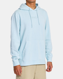 Little rvca tonally hoodie online