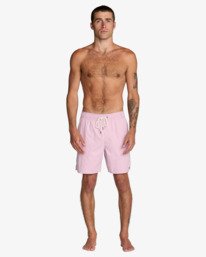 1 Opposites Elastic - Short hybride Amphibian pour Homme Vert AVYHY03000 RVCA