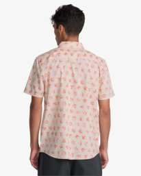 3 Botanical Bleu AVYWT00521 RVCA