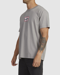 3 Tag - T-shirt pour Homme Gris AVYZT01842 RVCA