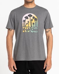 2 Dream Field - Short Sleeve T-Shirt for Men Grey C1SSRBRVP2 RVCA