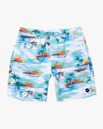 0 VA Pigment - Short de bain pour Homme Gris C1VORFRVP2 RVCA