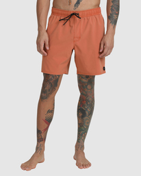 1 VA Pigment - Short-Bañador elástico para Hombre Marron C1VORGRVP2 RVCA