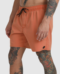 5 VA Pigment - Short-Bañador elástico para Hombre Marron C1VORGRVP2 RVCA