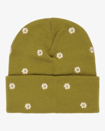 1 Embroidered Essential - Beanie mit Bündchen für Frauen Grün EVJHA03002 RVCA