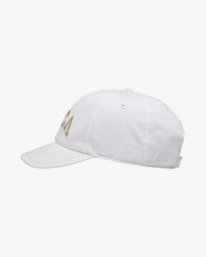 1 Contrast Stitch - Dad Hat for Women Multi EVJHA03005 RVCA