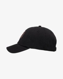 1 Stable Brown EVJHA03013 RVCA