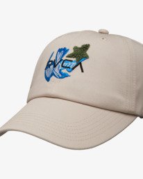 4 Antonia Figueiredo Bird Logo - Cap for Men Grey EVYHA03011 RVCA