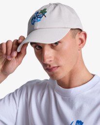 1 Antonia Figueiredo Bird Logo - Cap for Men Grey EVYHA03011 RVCA