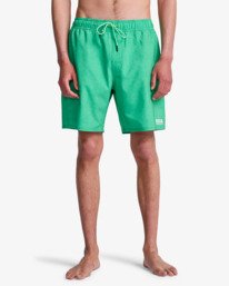 0 Judgement Elastic 18" - Hybrid Boardshorts for Men Green EVYHY03001 RVCA