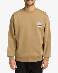 2 Palm Crest - Sweatshirt for Men Beige EVYSF00141 RVCA