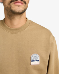 4 Palm Crest - Sweatshirt for Men Beige EVYSF00141 RVCA