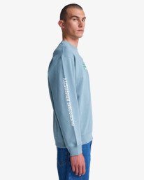 5 The Magician - Felpa da Uomo Gray EVYSF00150 RVCA