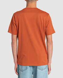 3 Small VA All The Way - T-Shirt für Männer Braun EVYZT00109 RVCA