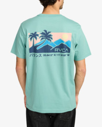 3 Palm Trail - T-Shirt für Männer Grau EVYZT00272 RVCA