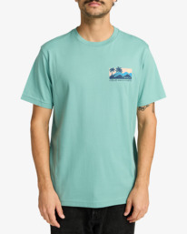 2 Palm Trail - T-Shirt für Männer Grau EVYZT00272 RVCA