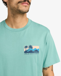 4 Palm Trail - T-Shirt für Männer Grau EVYZT00272 RVCA