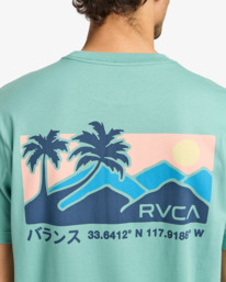 5 Palm Trail - T-Shirt für Männer Grau EVYZT00272 RVCA