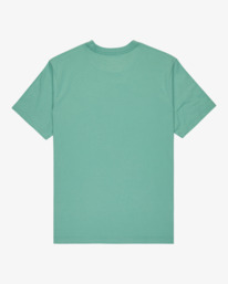 1 Butterfly Fx - T-Shirt für Männer Grau EVYZT00273 RVCA