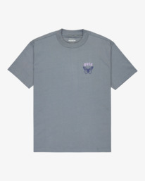 1 Butterfly Poster - T-shirt de manga curta para homem Cinza EVYZT00277 RVCA