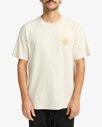 2 Pegasus - T-Shirt für Männer Blau EVYZT00294 RVCA