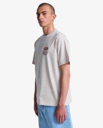 3 Ride Free - Maglietta da Uomo Gray EVYZT00337 RVCA