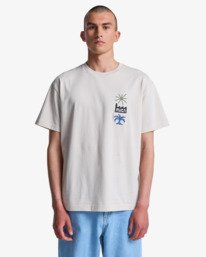 2 Mirage - T-shirt pour Homme Gris EVYZT00338 RVCA