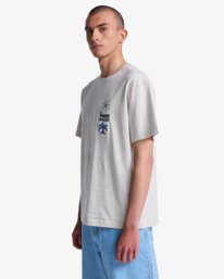 3 Mirage - T-shirt pour Homme Gris EVYZT00338 RVCA