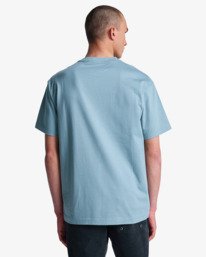 6 Olde RVCA - Maglietta da Uomo Gray EVYZT00346 RVCA