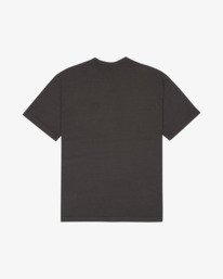 0 Ptc 2 Pigment Brown EVYZT00370 RVCA